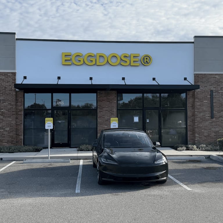 Welcome to EGGDOSE - Winter Garden